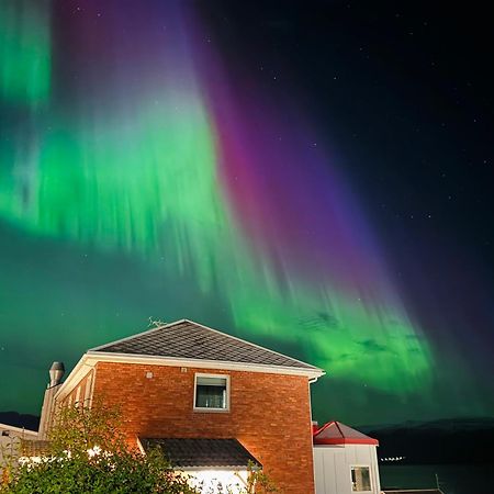 Altafjord Gjestegaard Dış mekan fotoğraf