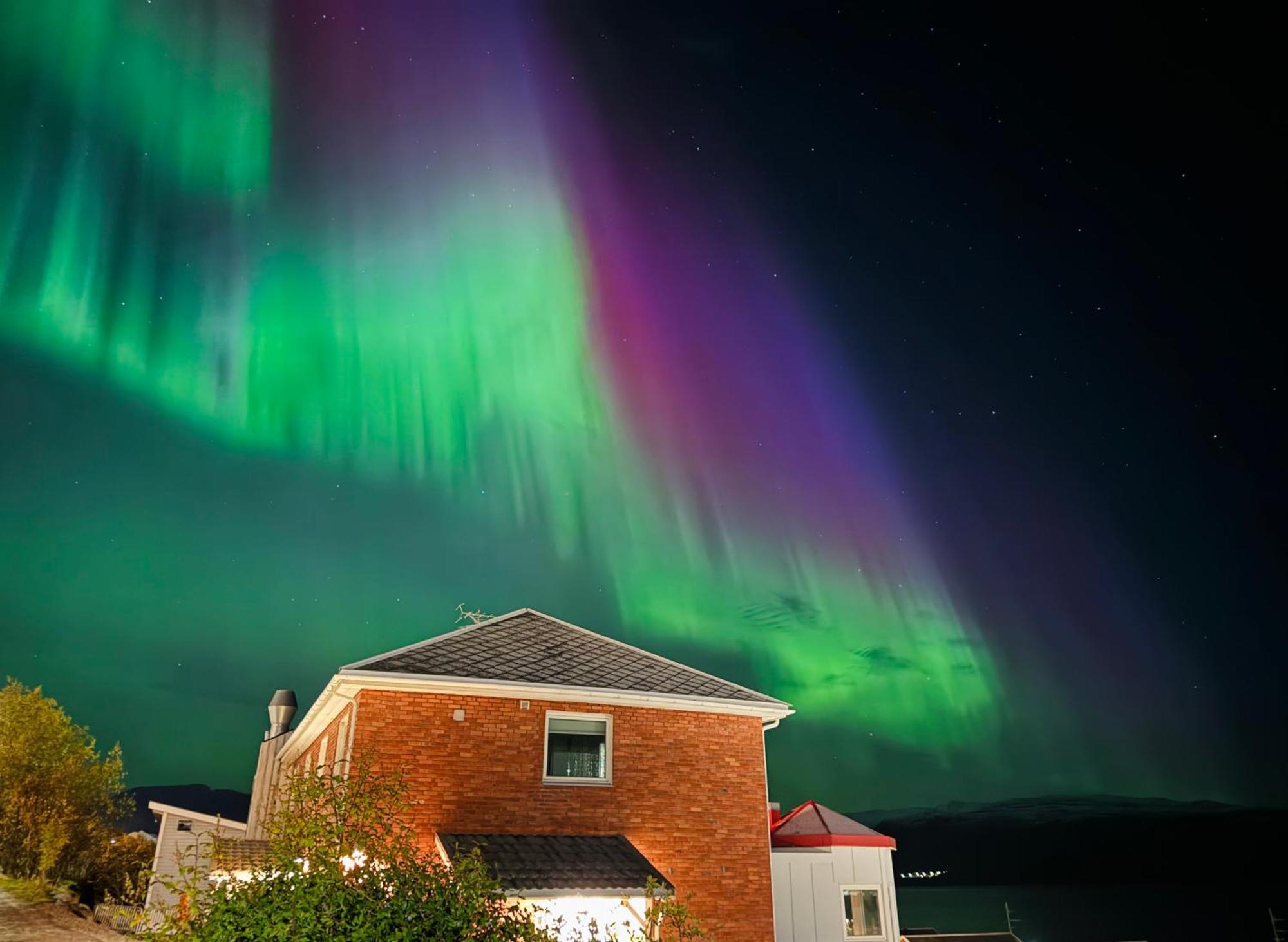 Altafjord Gjestegaard Dış mekan fotoğraf